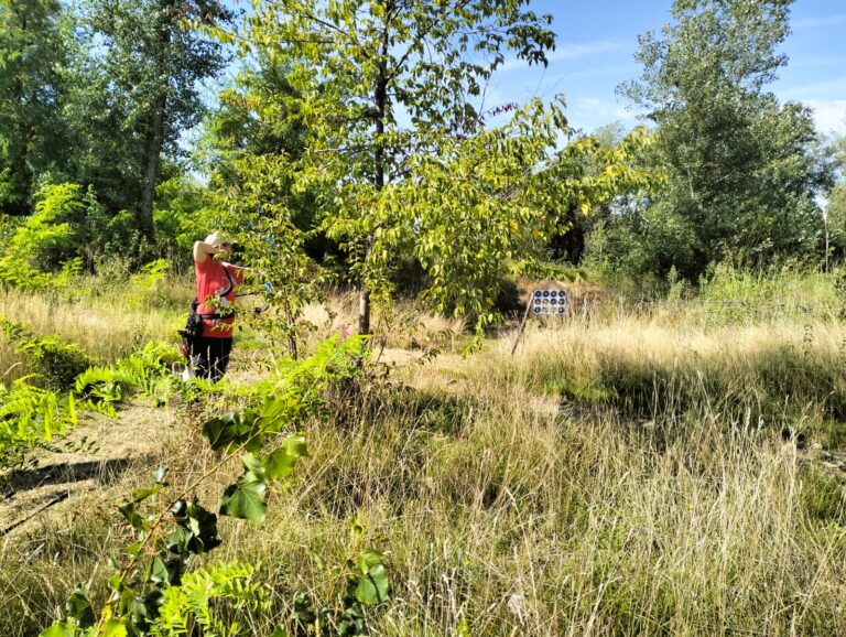 Campionato Regionale FVG H&F 2025 – Cordenons